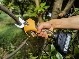 Branch Trimmer Market