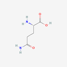 Glutamine (Gln) market