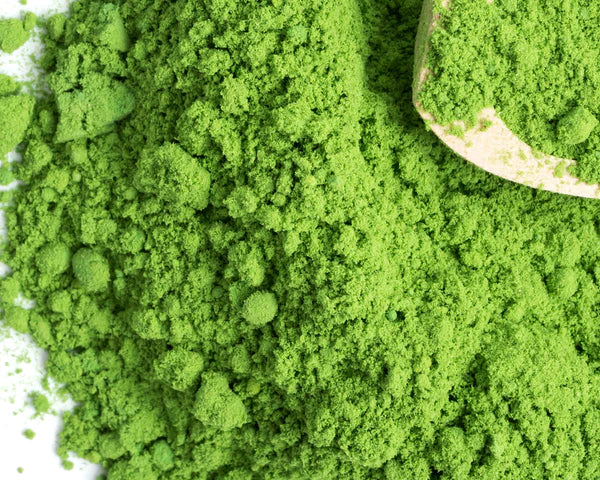 Green Tea Polyphenol (GTP) Market
