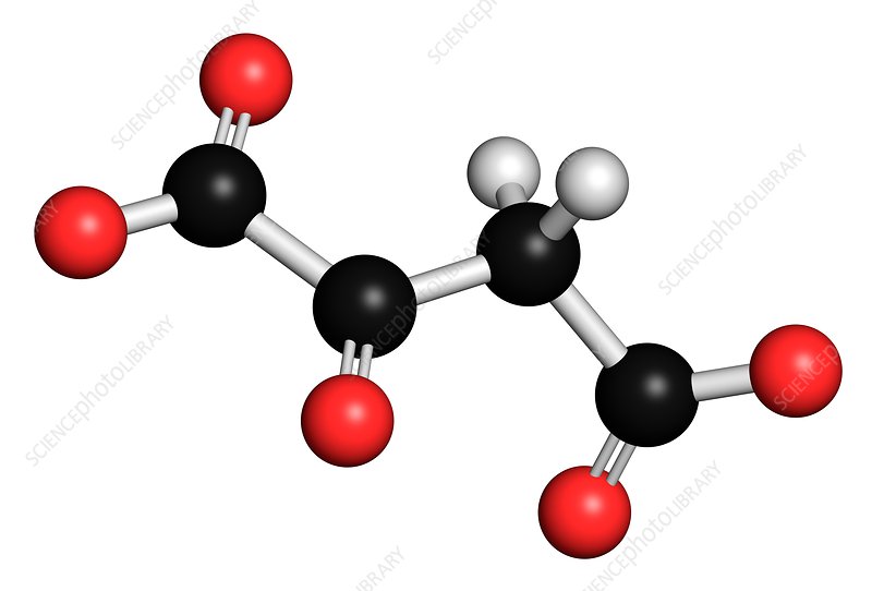 Oxaloacetic Acid Market