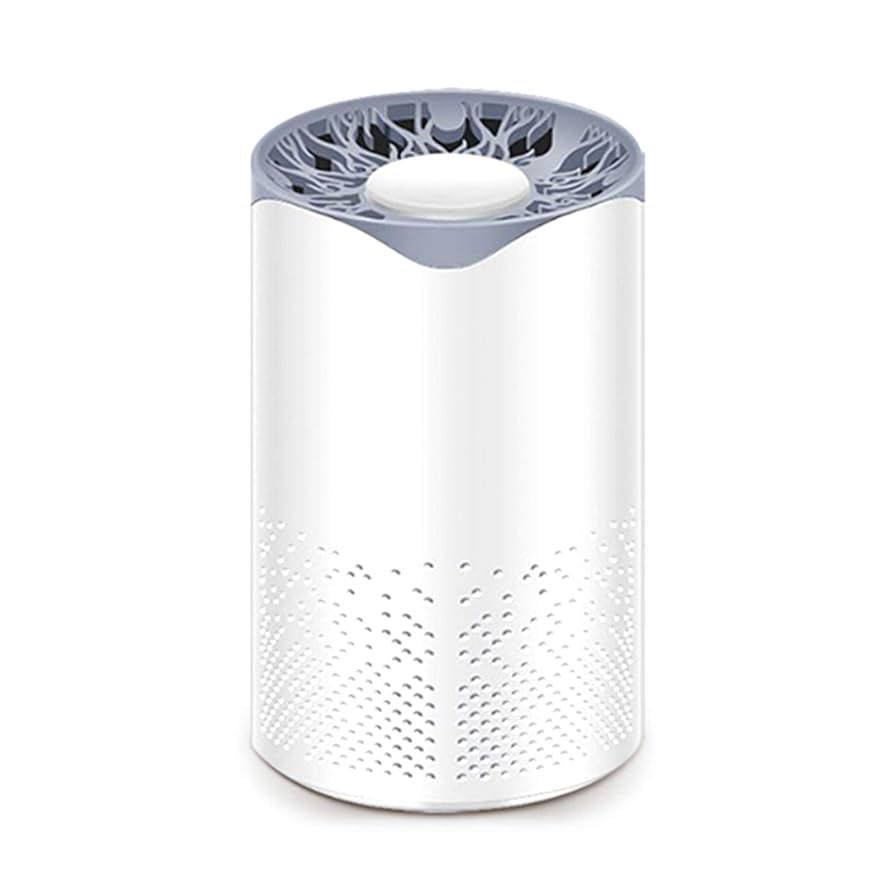 Portable UV Air Purifier Market