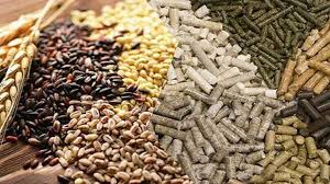 Natural Feed Flavor Market